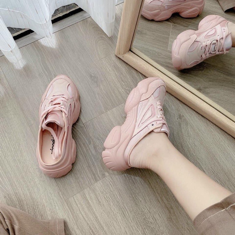 Sục hồng đế bánh mì 5cm Xiaogird hộp đẹp | BigBuy360 - bigbuy360.vn