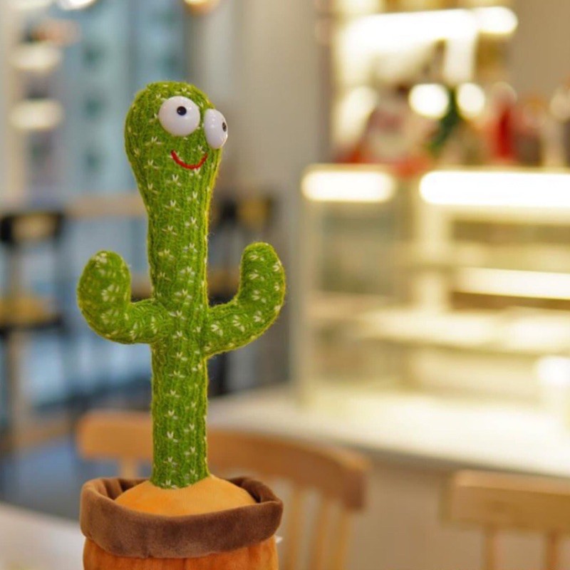 Cây xương rồng nhảy múa loại có 120 bài hát, nhại tiếng