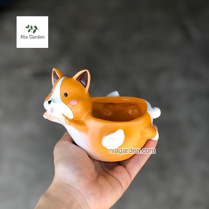 Chậu chó Corgi thiên thần trồng xương rồng, cây để bàn Nia Garden N4