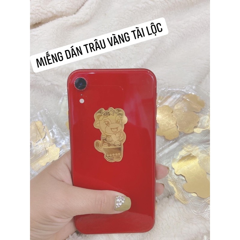 Miếng Dán Trâu Vàng