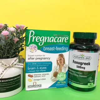 [Giá Tốt] Combo vitamin bú Pregnacare Breast feeding 84 vien và lợi sữa cỏ cà ri Fenugreek 90 vien