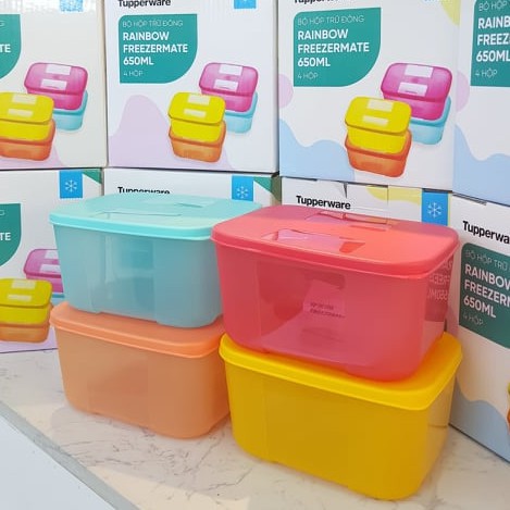 Bộ Hộp Trữ Đông Freezermate Rainbow 650ML Tupperware (4 cái), Hộp Trữ Đông Thức Ăn Ngăn Đá Tủ Lạnh