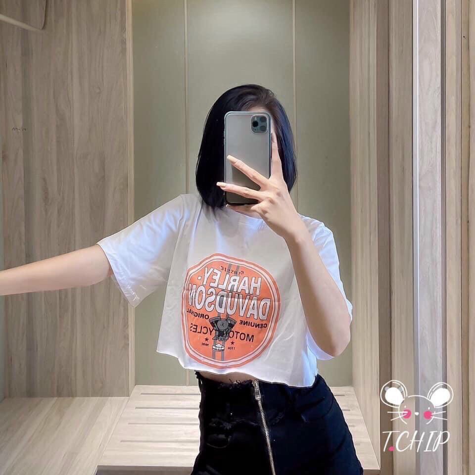 Áo thun croptop + Ảnh thật