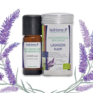 Tinh Dầu Organic Lavendin Super
