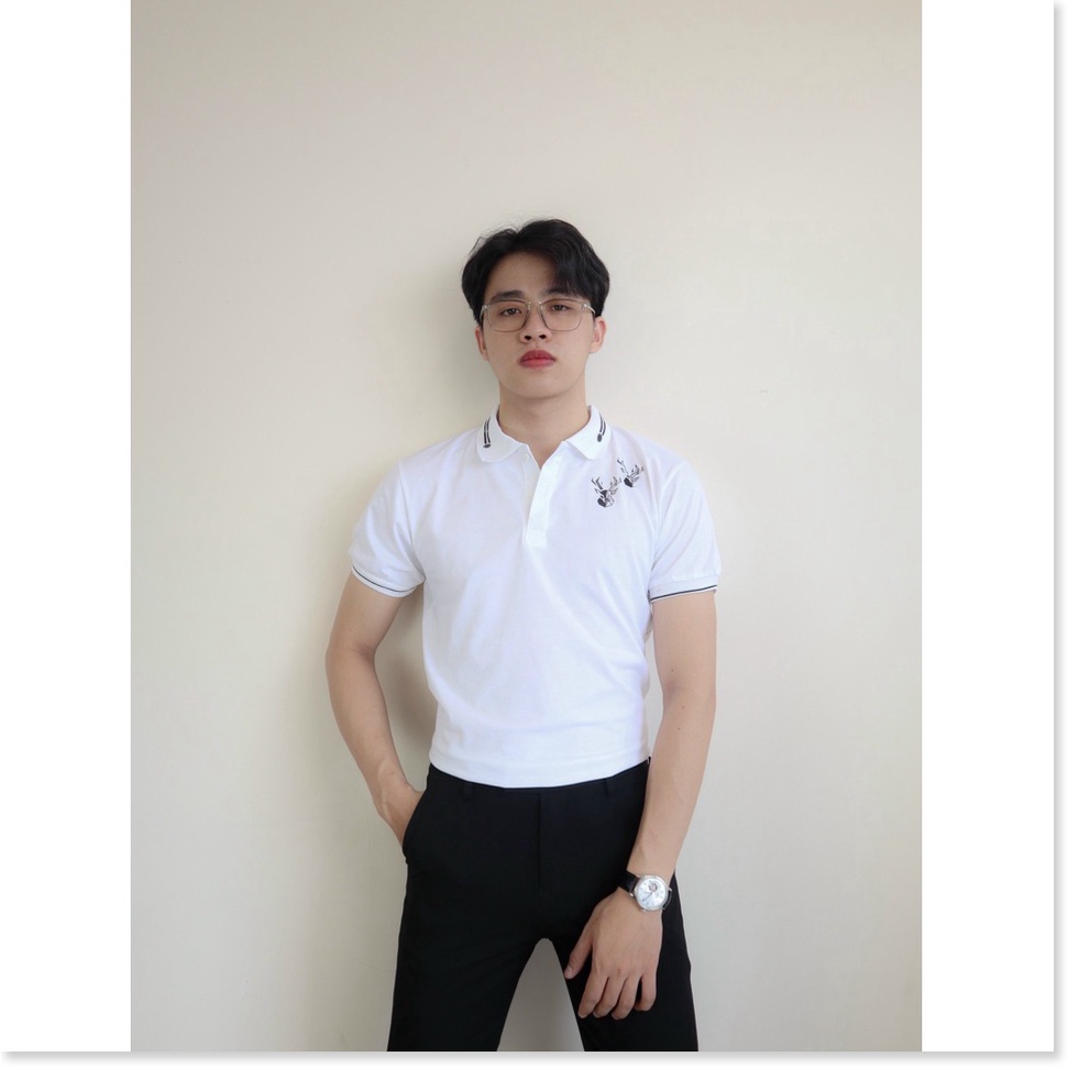 ÁO THUN NAM NGẮN TAY SANG TRỌNG , CHUẨN BODY CHO AE KHANH AN