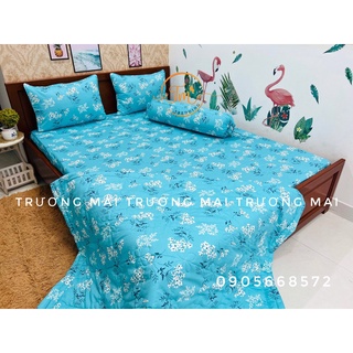 Bộ ga mền Thắng Lợi 100% cotton có mền chần gòn
