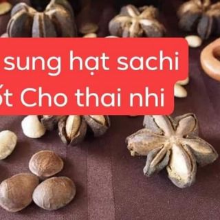Ngũ cốc bầu lạc lạc