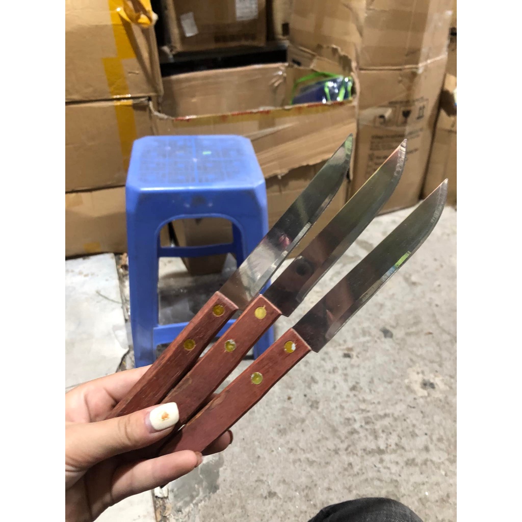 DAO GỌT HOA QUẢ KIWI CÁN GỖ CẦM TAY TIỆN DỤNG