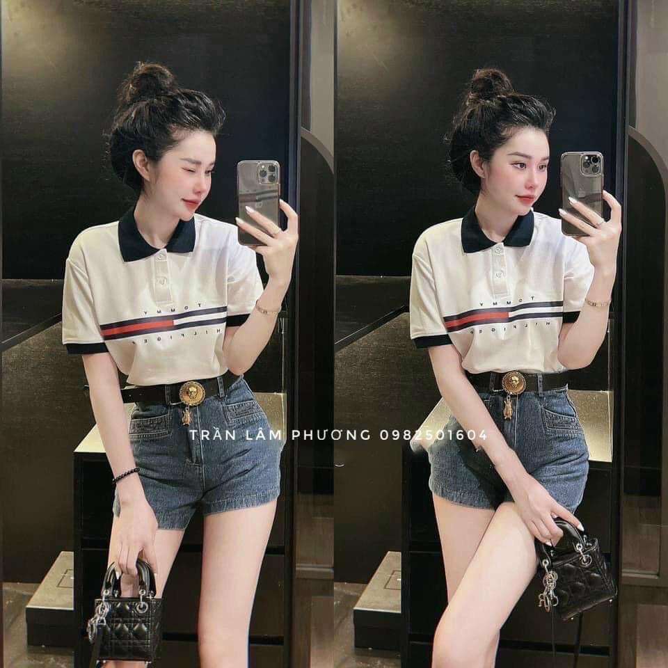 Áo phông Tom my cổ bẻ siêu siêu hot