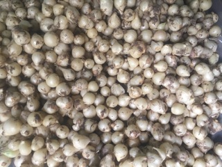 Nén (hành tăm)