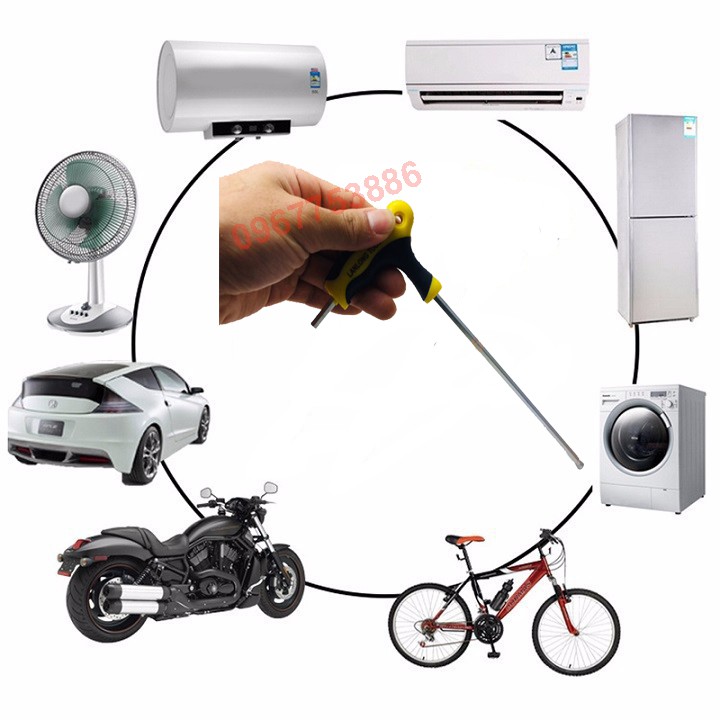 Lục giác chữ t