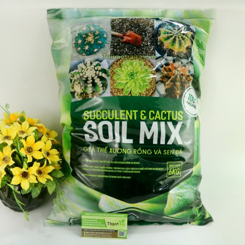 Soil Mix đất trồng sen đá, đất Soil Mix thoát nước tốt