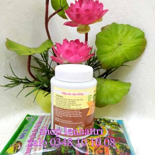 N3M Phân kích rể cực mạnh 100g