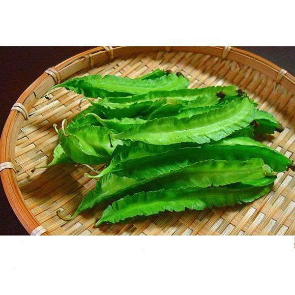 Hạt Giống Đậu Rồng Cao Sản Giòn, Ngọt 10gr
