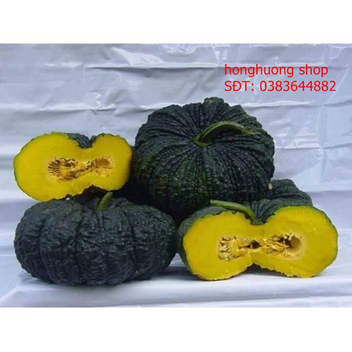 Hạt giống bí đỏ da cóc