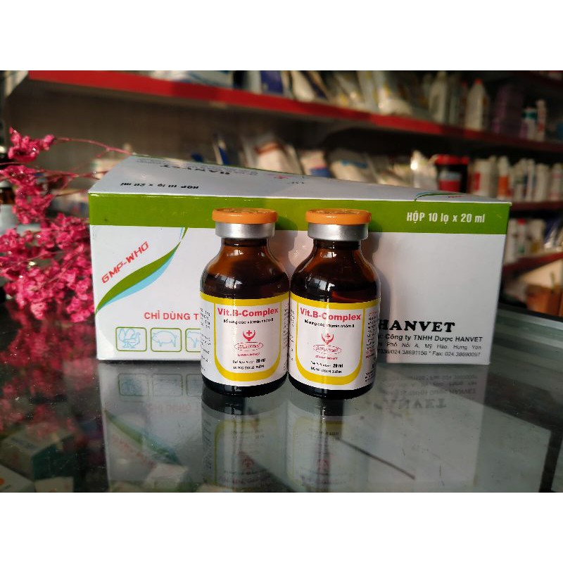Vitamin Bcomplex tốt cho thú cưng, chó mèo, thiếu hụt vitamin,tăng lực, hồi sức