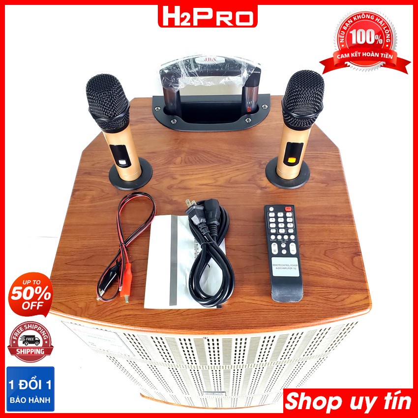 Loa Kéo Karaoke JBA 505B Bass 40, Vân Gỗ Nguyên Khối Vàng Sang Trọng - Chất Lượng Đẳng Cấp, Bảo Hành 12 Tháng