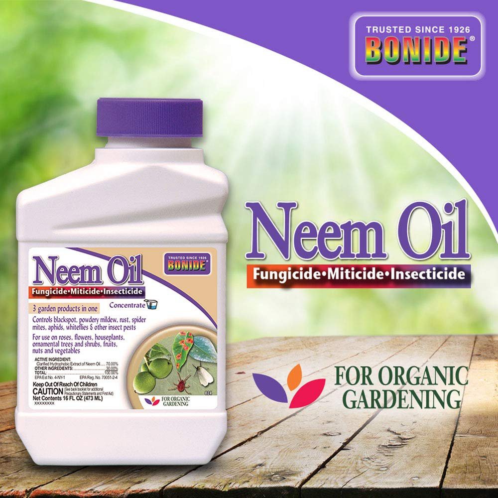 Thuốc trừ nấm diệt côn trùng Neem Oil chai 473 ml