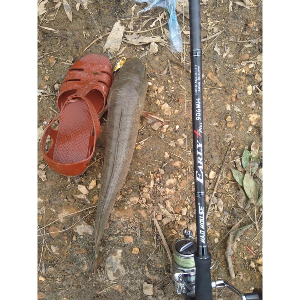 Cần câu ghềnh, Lure ghềnh đánh nhái thật Madmouse#Early#Japan