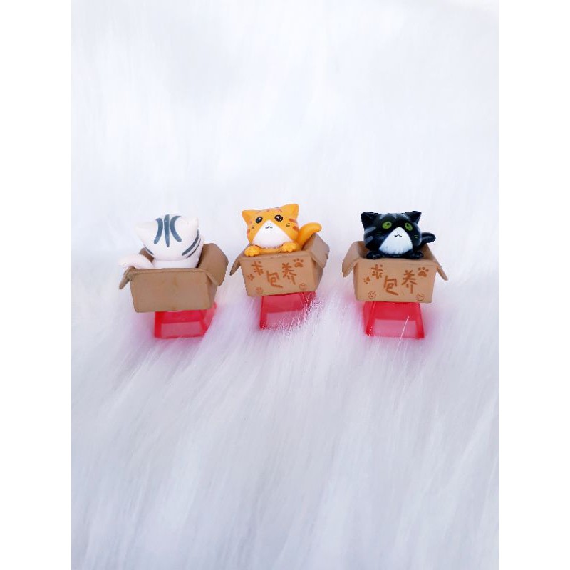 Keycap bé mèo trong hộp (baby cat in box), trang trí bàn phím. | BigBuy360 - bigbuy360.vn