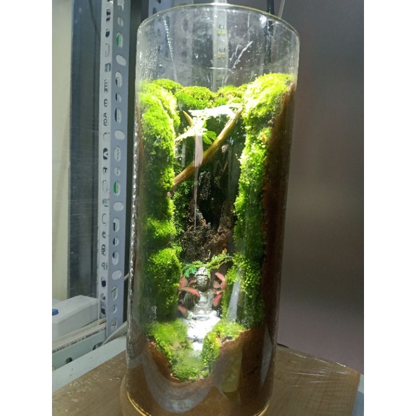 Tượng Phật A di đà , sư ngồi và đứng kích thước 3*5cm trang trí terrarium, tiểu cảnh....
