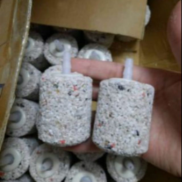 Sùi trụ 5 cm muối tiêu cho bé cá cảnh, hỗ cá cảnh