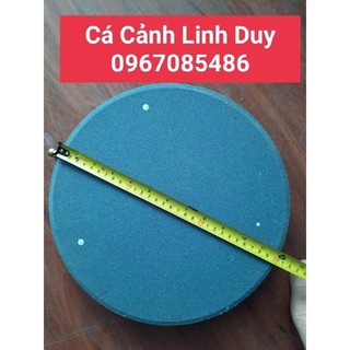Sủi Đĩa oxi siêu mịn  20cm và 30cm