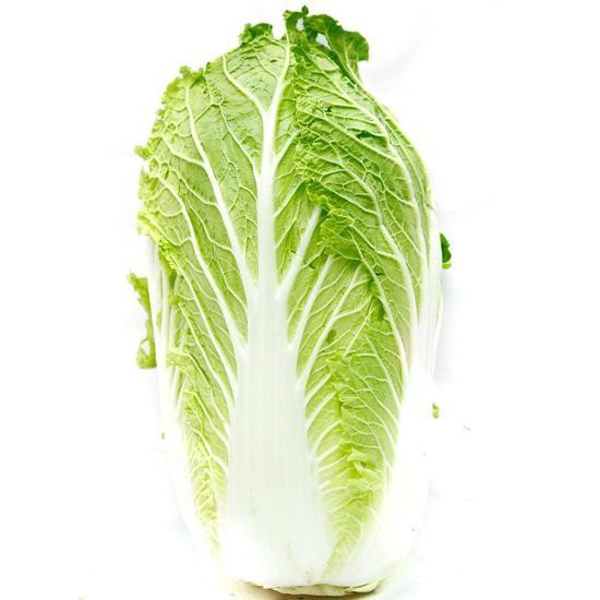 Hạt giống bắp cải thảo F1 5gr
