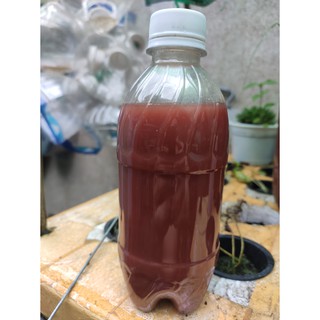 Vi khuẩn quang hợp psb 300ml - vi sinh làm trong nước hồ cá