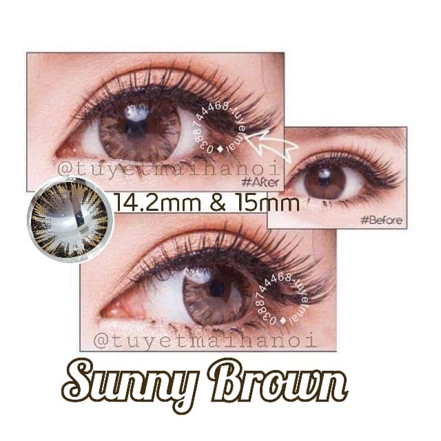 Kính Áp Tròng Màu Nâu Sunny Brown 14.2mm 0 Độ - Lens Hàn Quốc Chính Hãng Vassen Sexy Me