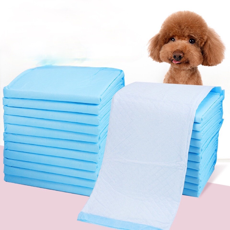 1 Miếng Tã Lót Chuồng Vệ Sinh Cho Chó Mèo