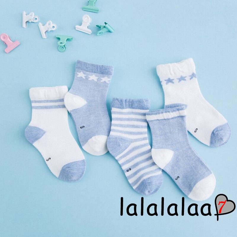 Bộ 5 đôi vớ hình động vật cho bé