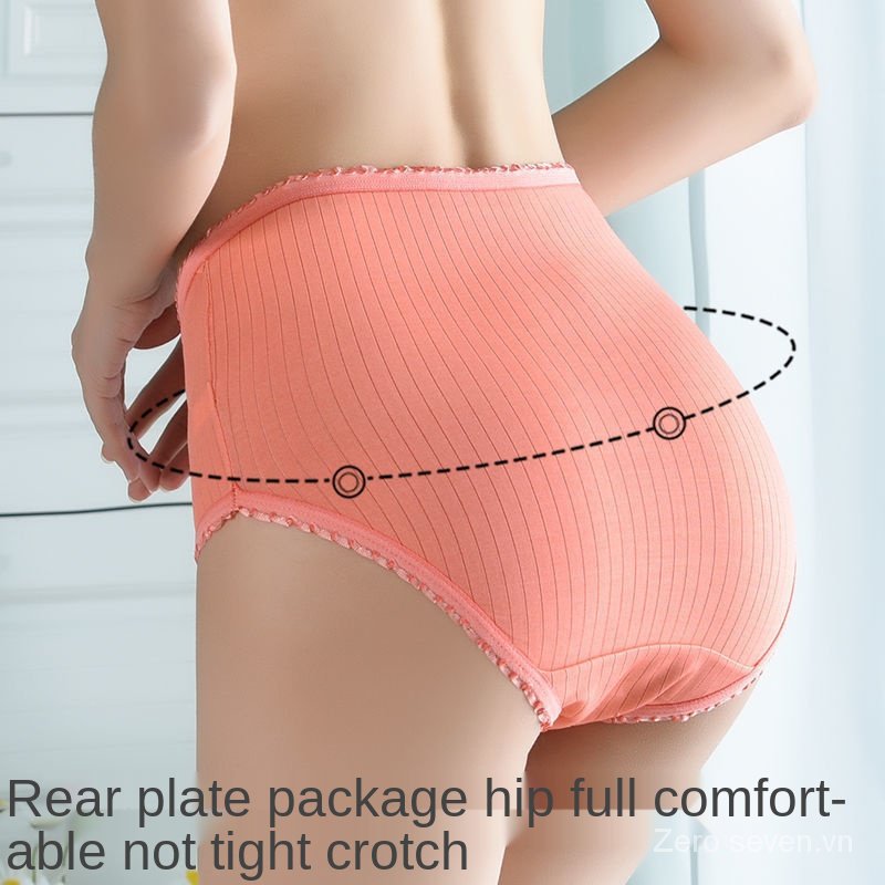 Quần Lót Ren Lưng Cao Cỡ Lớn 75kg - 200kg Dành Cho Nữ