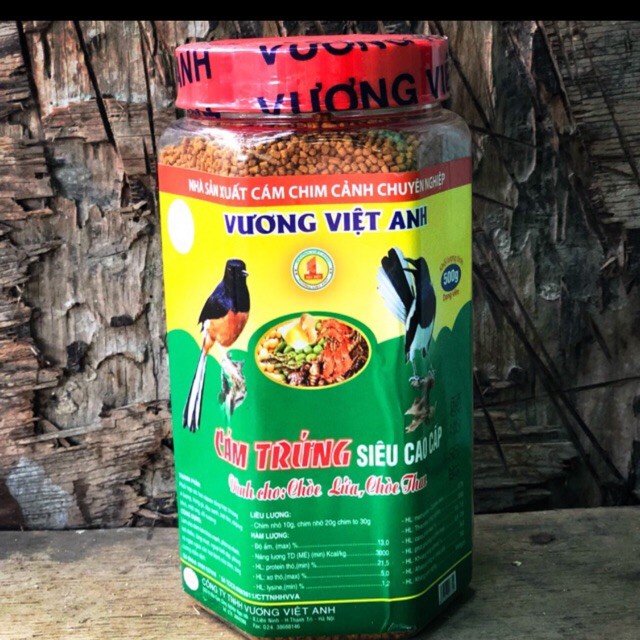 Cám choè vương Việt anh