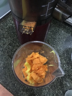 Máy ép chậm SAVTM