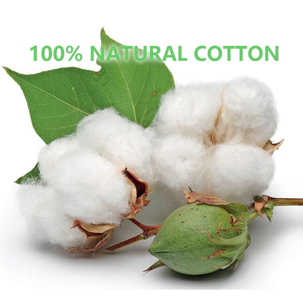 【Hàng Có Sẵn】Bộ 100 Cây Tăm Tre Hữu Cơ Tự Nhiên Có Thể Phân Hủy Sinh Học Và Sinh Học