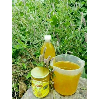✅[ Đặc Sản Hà Giang ] Mật Ong Bạc Hà Nguyên Chất (Hàng Chuẩn)