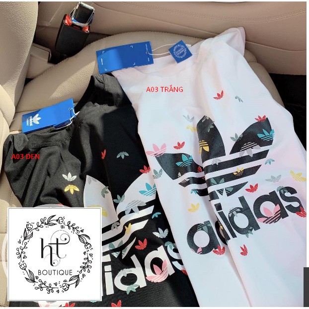 Áo phông Free size nhiều mẫu, chất cotton,form giấu quần,hàng Quảng Châu, ảnh shop tự chụp