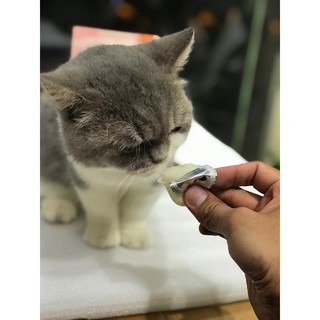 [SẴN][HCM] Pudding sữa dê cho mèo dạng viên