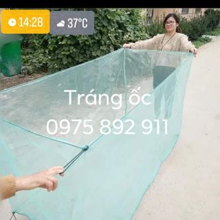 Tráng nuôi ốc mới nở - Mã số 211