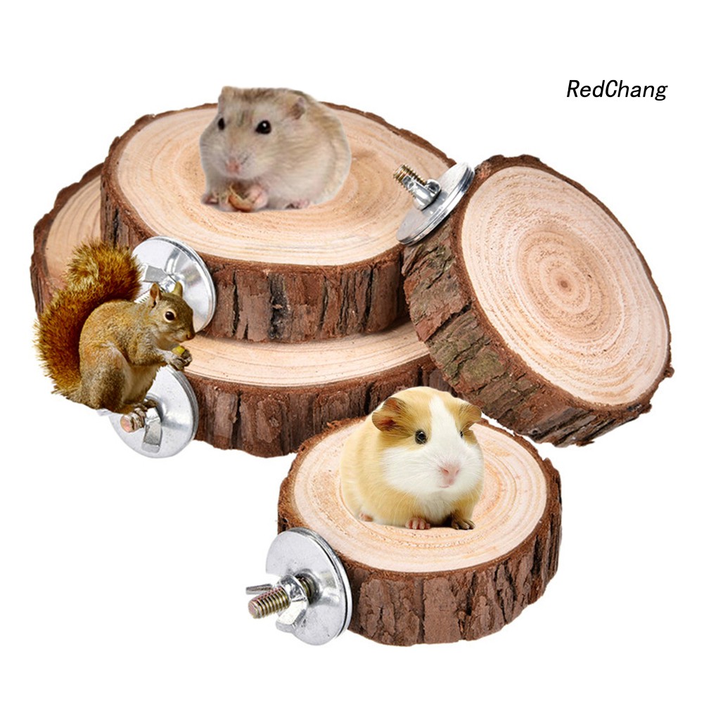 Bệ gỗ vui chơi cho chuột hamster