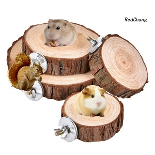 Bệ gỗ vui chơi cho chuột hamster