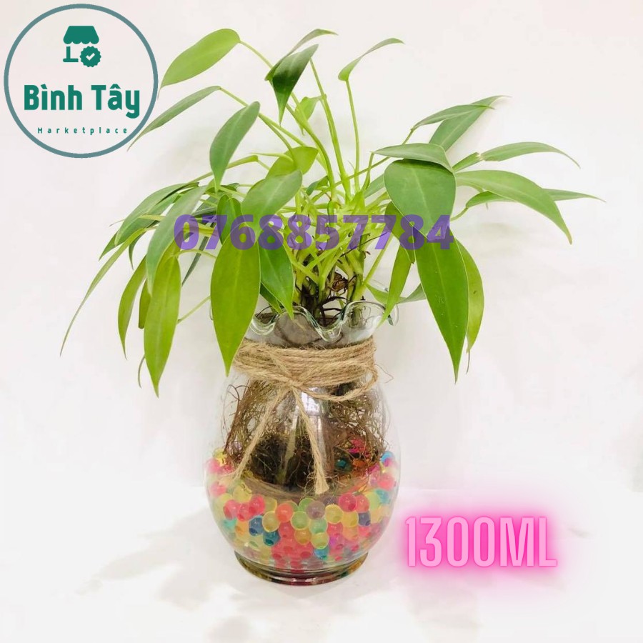 Bể thủy tinh thích hợp làm bể cá thủy tinh, bầu hồ thuỷ sinh chậu, cây cảnh thuỷ tinh chậu cây thủy tinh MiLan ML-BDBL21