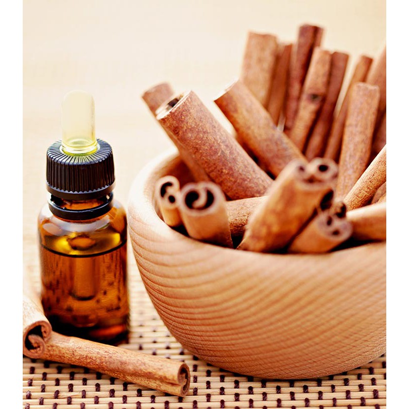 Tinh Dầu Quế Thiên Nhiên khử mùi, tốt cho hệ tiêu hoá, chống vi khuẩn nấm mốc Cinnamon Essential Oil AloAroma