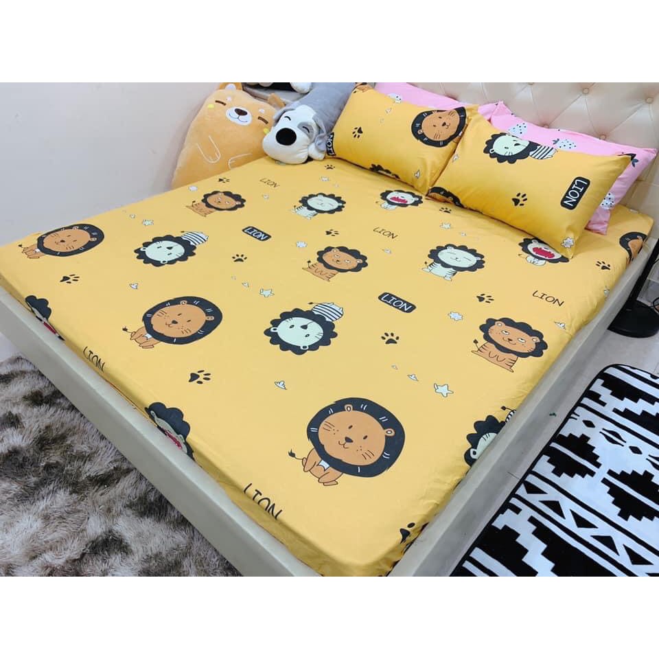 SET GA GỐI POLY COTTON NHIỀU MẪU đầy đủ kích thước | BigBuy360 - bigbuy360.vn