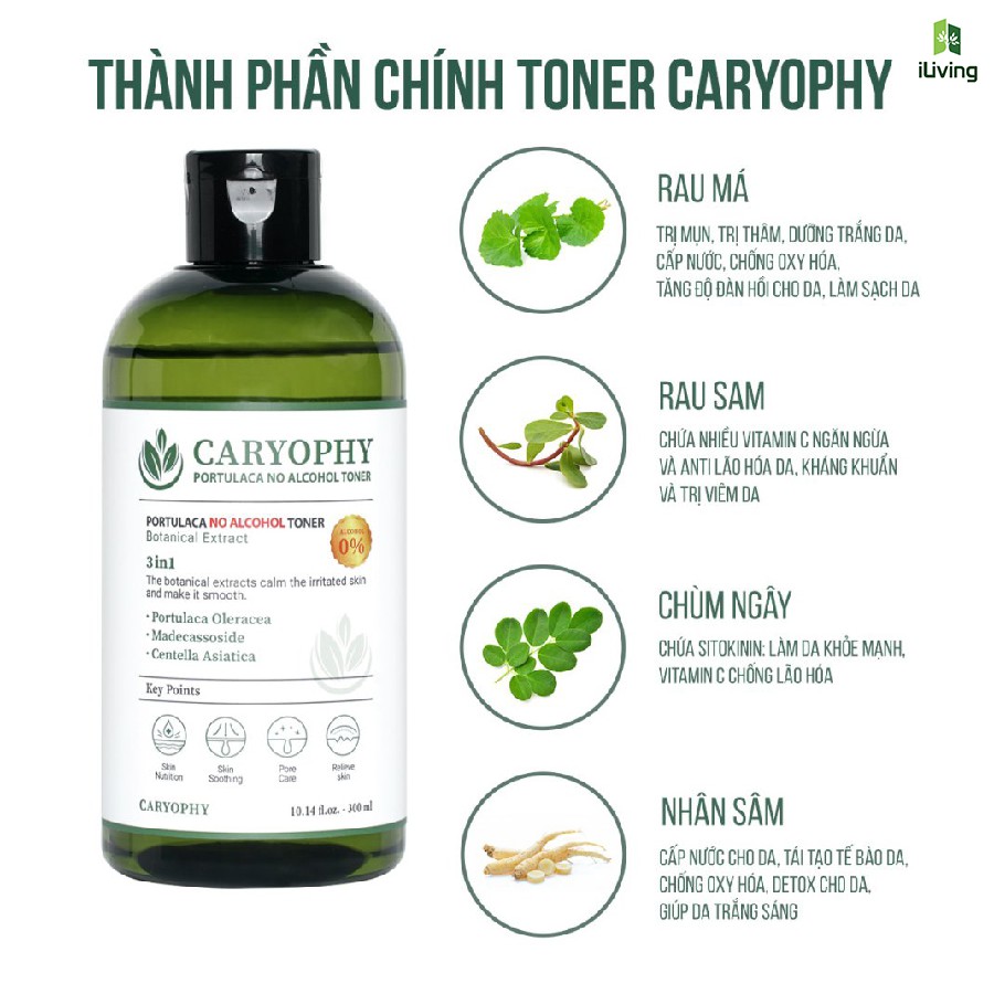 Toner cho da mụn Caryophy Portulaca 300ml và 50ml ILIVING-CARTCDM | BigBuy360 - bigbuy360.vn