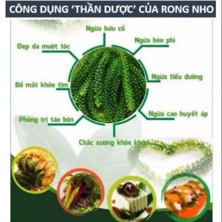 [ GIẢM CÂN ] 1 bịch nước sốt mè rang 15ml.