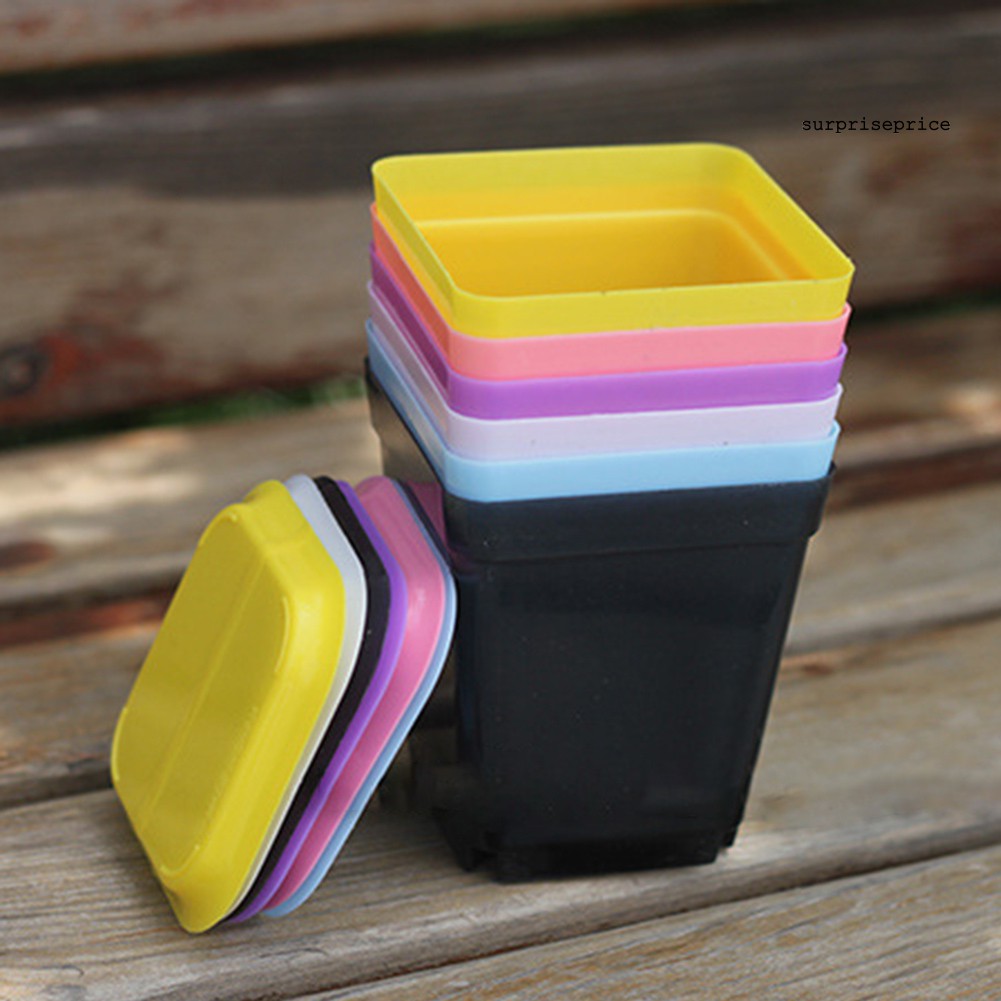 Set 10 / 20 Chậu Nhựa Dùng Trồng Cây Trang Trí Vườn