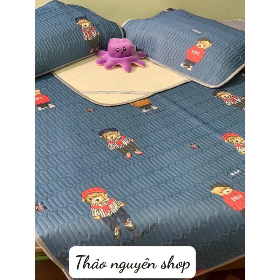 Chiếu điều hòa cao su non 3D làm mát dễ ngủ tặng kèm 2 vỏ gối mẫu mới giá rẻ hàng loại 1 MSP016