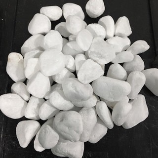 Đá sỏi trắng trang trí bể cá, chậu cây cảnh